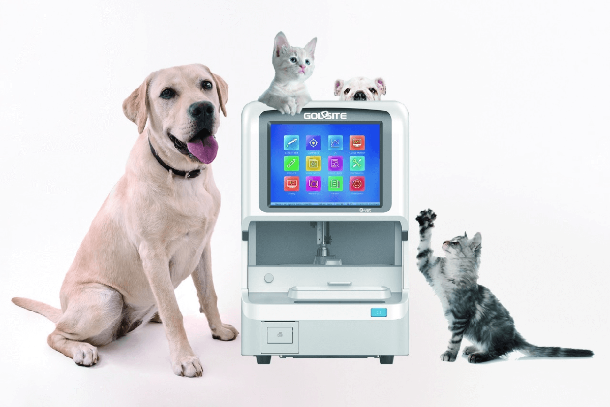 Goldsite Veterinary Biochemistry Analyzer Q-vet startet Reise nach Gro?britannien