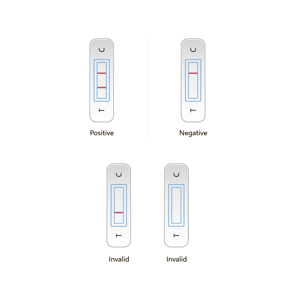 Speichel Stift ���