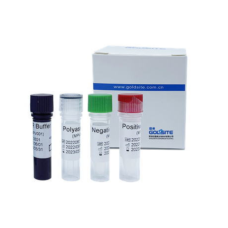 Affenpockenvirus(MPXV)-PCR-Kit