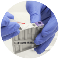 Schritt 1 Probe hinzuf&uuml;gen