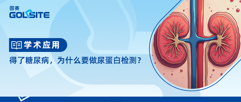 �����������ΪʲôҪ���򵰰׼����