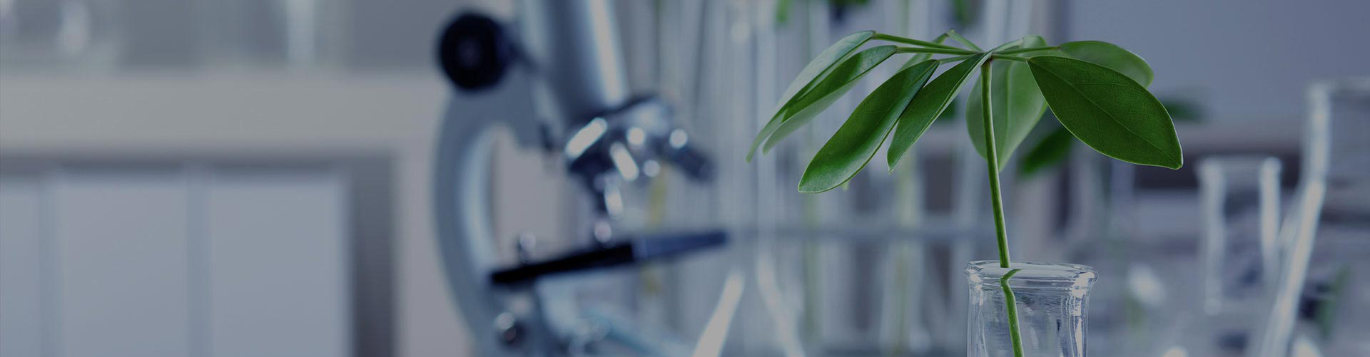 ����ǰ�������Ƽ����������ཡ����